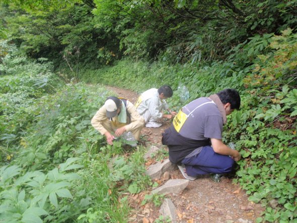 地域貢献活動（ボランティア）を行いました。