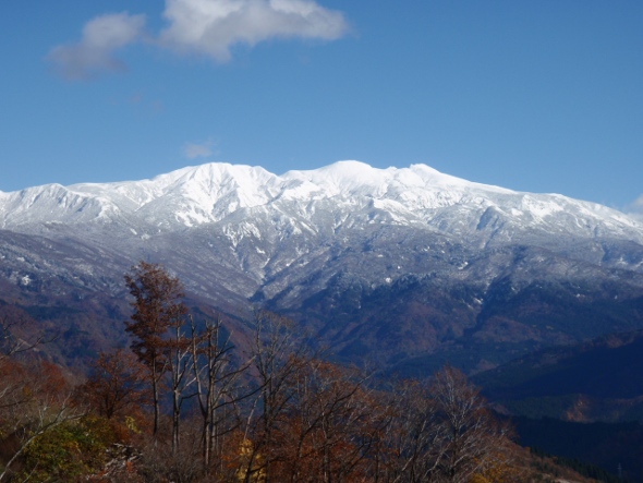 冬が近づいて来ました。